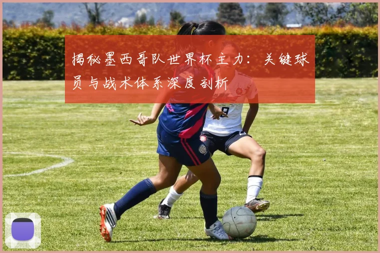 揭秘墨西哥队世界杯主力：关键球员与战术体系深度剖析